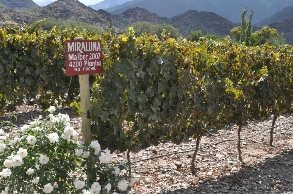 Miraluna Bodega Boutique Cachí Buitenkant foto