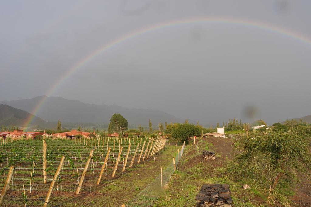 Miraluna Bodega Boutique Cachí Buitenkant foto